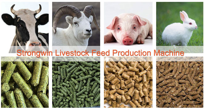 производственная линия корма для животных